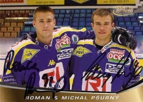 Roman Pšurný, Michal Pšurný