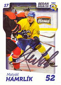 Matyáš Hamrlík