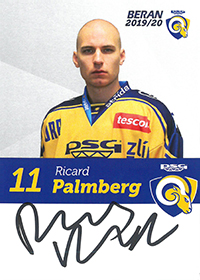 Rickard Palmberg